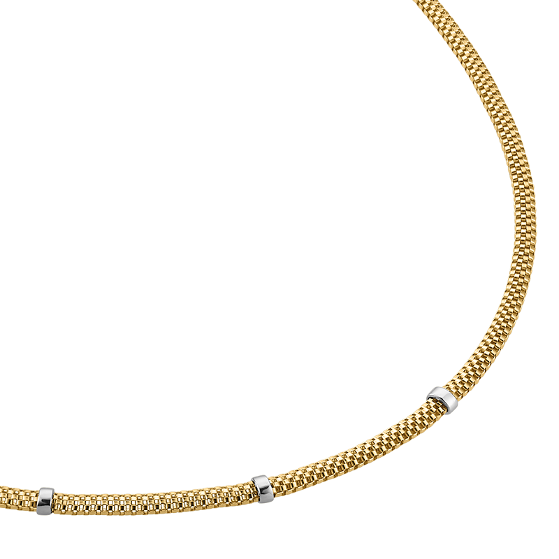 Damencollier